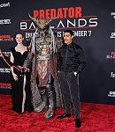 Filename=EFBR007.JPG
Filesize=1462KiB
Dimensions=3000x2000
Date added=Nov 04, 2025 EFBR007.JPG