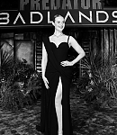 Filename=EFBR046.jpg
Filesize=1083KiB
Dimensions=2000x3000
Date added=Nov 04, 2025 EFBR046.jpg