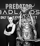 Filename=EFBR050.jpg
Filesize=1255KiB
Dimensions=2277x3000
Date added=Nov 04, 2025 EFBR050.jpg