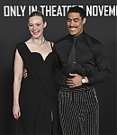 Filename=EFBR058.jpg
Filesize=663KiB
Dimensions=3000x1995
Date added=Nov 04, 2025 EFBR058.jpg