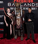 Filename=EFBR159.jpg
Filesize=1085KiB
Dimensions=3000x2000
Date added=Nov 04, 2025 EFBR159.jpg