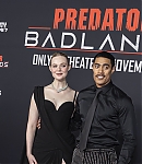 Filename=EFBR258.jpg
Filesize=935KiB
Dimensions=3000x1999
Date added=Nov 04, 2025 EFBR258.jpg