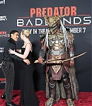 Filename=EFBR261.jpg
Filesize=1603KiB
Dimensions=2000x3000
Date added=Nov 05, 2025 EFBR261.jpg