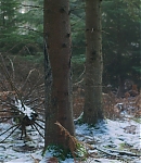 EFBR0457.jpg