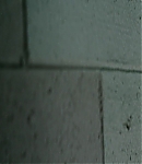 EFBR00871.jpg