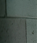 EFBR00872.jpg