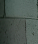 EFBR00874.jpg