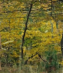Filename=EFBR01491.JPG
Filesize=807KiB
Dimensions=1920x800
Date added=Jan 22, 2023 EFBR01491.JPG