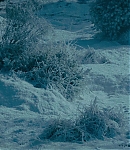 EFBR00003.jpg