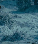 EFBR00004.jpg