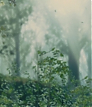 EFBR00127.jpg