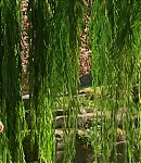 Filename=EFBR00036.jpg
Filesize=1050KiB
Dimensions=1920x800
Date added=Jun 05, 2021 EFBR00036.jpg