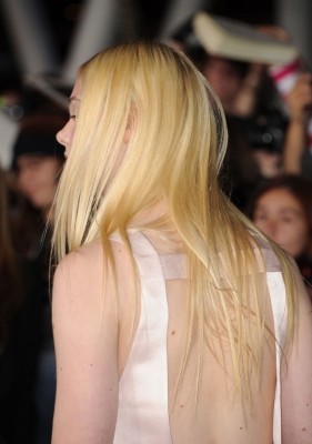 EFBR0075.jpg