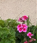 EFBR0708.jpg