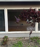 Filename=EFBR0710.jpg
Filesize=629KiB
Dimensions=1440x1440
Date added=Nov 27, 2024 EFBR0710.jpg